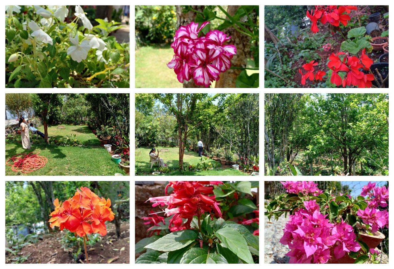 Pear Tree Inn Villa Kotagiri Eksteriør bilde