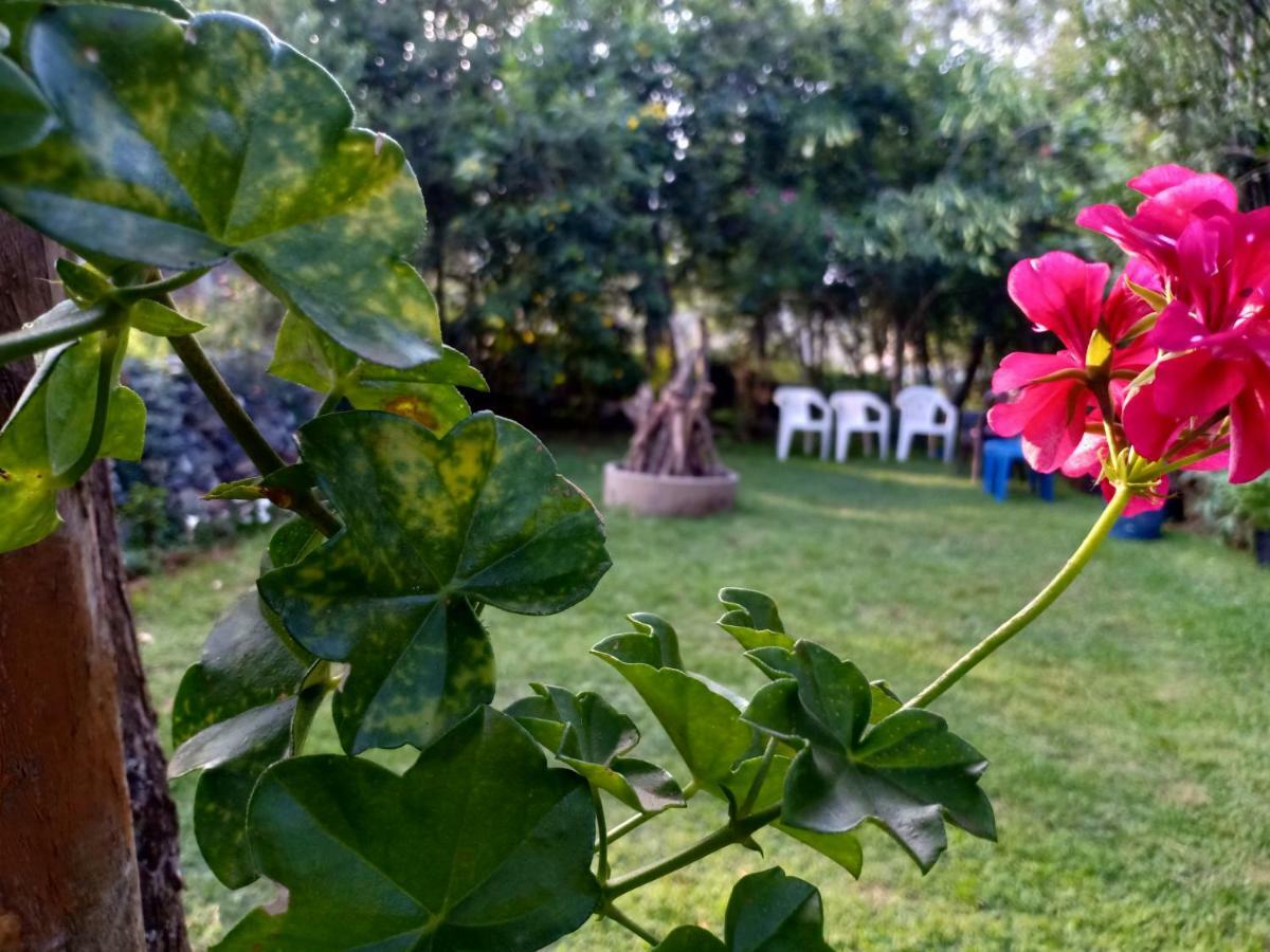 Pear Tree Inn Villa Kotagiri Eksteriør bilde