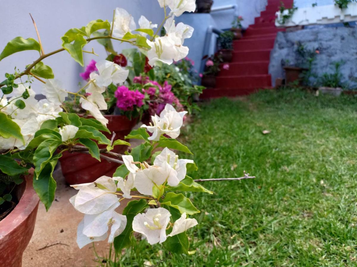 Pear Tree Inn Villa Kotagiri Eksteriør bilde